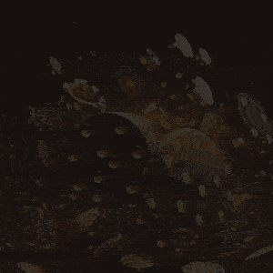 a1cc9c2d8c203d9268170da821b32add_1750055164_6073.gif